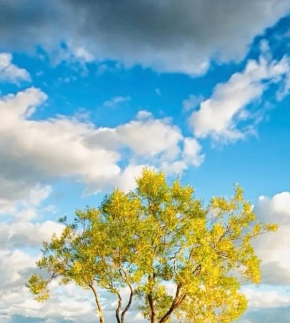 解梦指南梦见咸肉的象征含义与心理解析，发现内心深处的启示