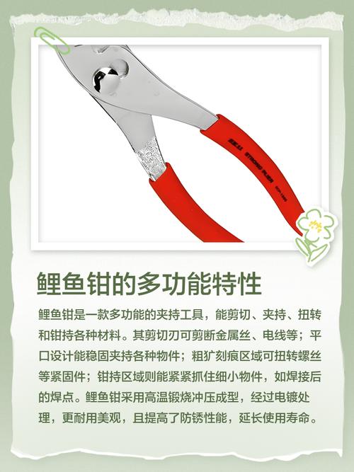 梦见钳子象征着哪些？解读背后惊人意义