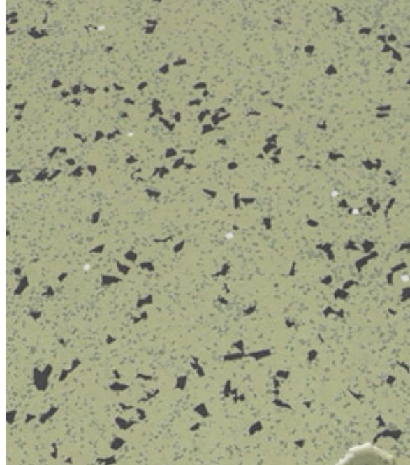 掌握关键技巧:轻松解锁〈Escape Room:侦探社〉消防署关卡攻略 掌握关键技巧:轻松解锁〈Escape Room:侦探社〉消防署关卡攻略