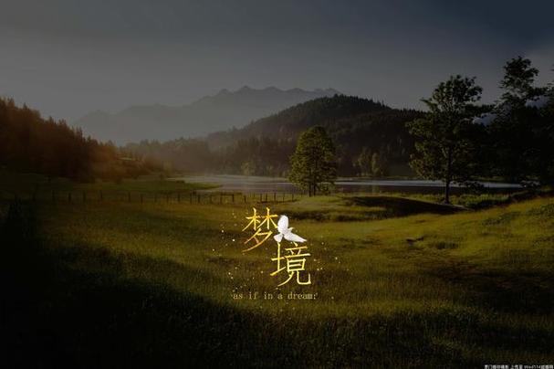 梦见棕色象征哪些？解析梦境背后的心理寓意