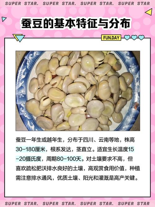 解梦专家揭秘梦见蚕豆的5个深层含义与心理暗示