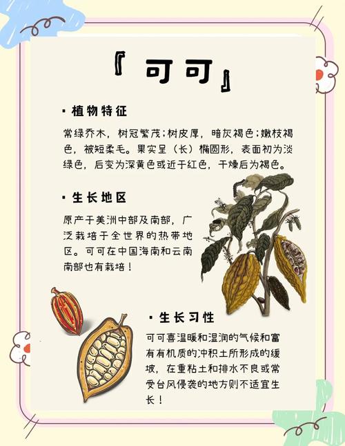 梦见可可豆的深意专家解读及高效解决方案