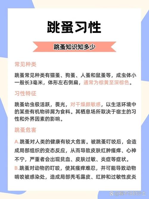 梦见跳蚤是哪些意思？高效解决方案解析梦境象征