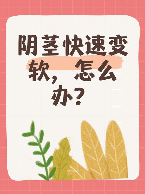 梦见阳具象征哪些心理暗示？探索潜意识的奥秘