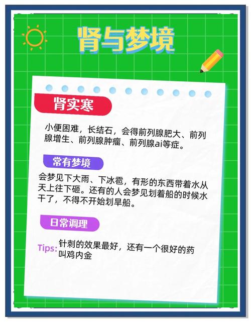 梦见肾脏揭示内涵与高效解决方案