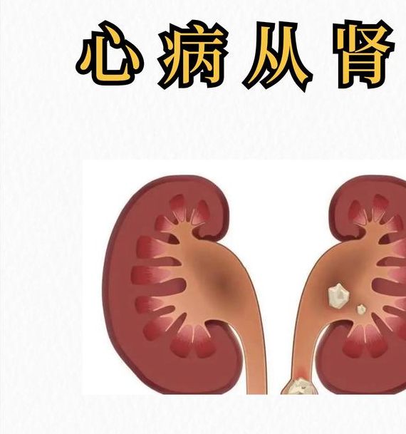 梦见肾脏揭示内涵与高效解决方案