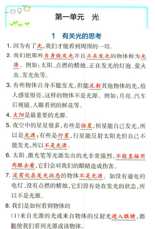 梦见乒乓球解析揭秘5个隐藏心理信号与专家建议