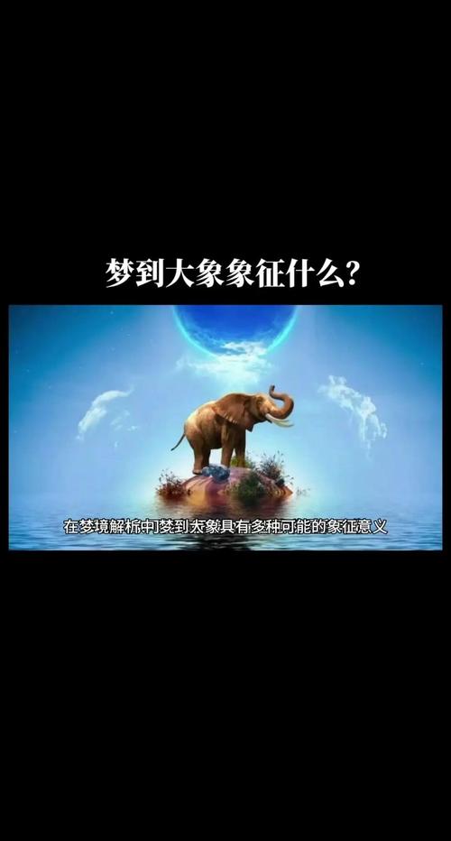 梦见大象意味着哪些?揭示潜意识的秘密与精神成长路径 梦见大象意味着哪些?揭示潜意识的秘密与精神成长路径
