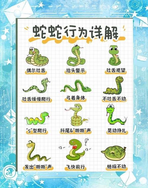 专家解读梦见蛇进房子预示的3大生活启示