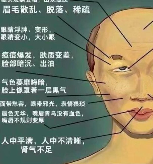 梦见阳具象征解析心理暗示与现实影响的对比