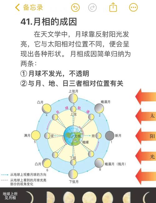 解读梦见月亮升起的启示提升情感与生活运势的秘诀