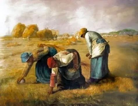 梦见拾麦穗的人意味着哪些？揭示梦境背后的高效解读方案