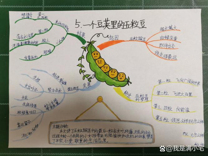 梦见豆荚代表哪些？解读梦境与生活联系的高效方案