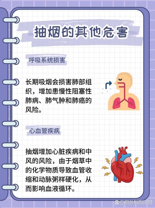 梦见吸烟背后的潜意识暗示，深度解析与情感共鸣引导！