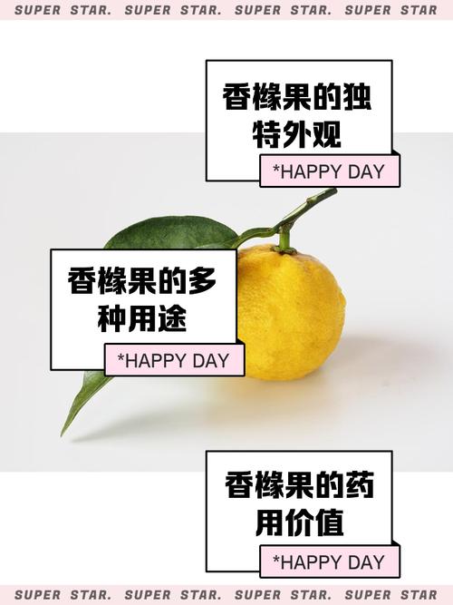 梦见果脯的5大心理暗示与生活启示详解