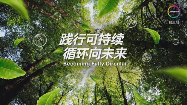 揭秘旧车绿色循环新方案：如何便民利企？