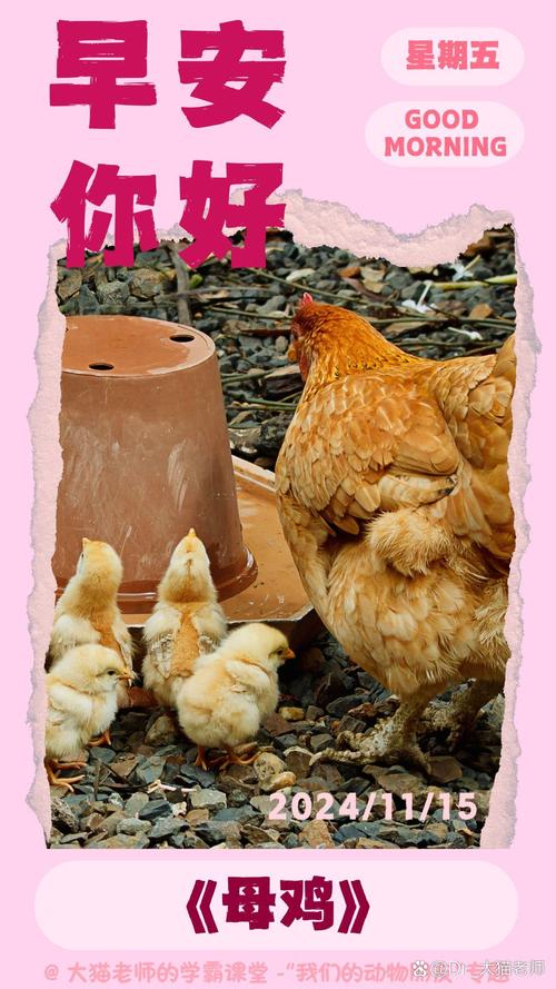 梦见小鸡意味着哪些？揭示背后象征意义和解读方法