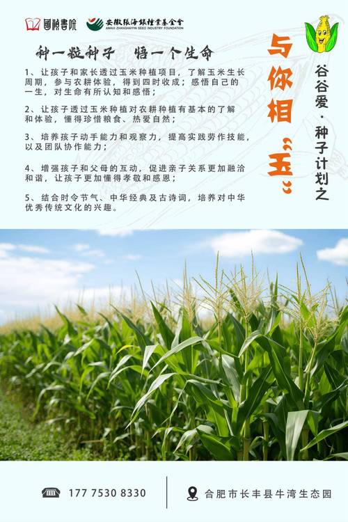 梦见玉米地象征意义解析财富潜力与未来启示