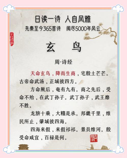 鸨鸟梦境解析神秘寓意与生活启示深度解读