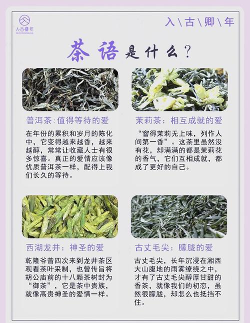 梦见茶叶寓意解析好运降临vs内心烦忧，如何解读梦境信号？