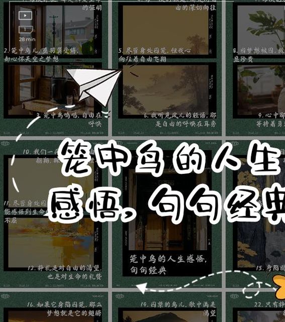 解读梦境8种飞鸟梦境象征寓意与意义解析