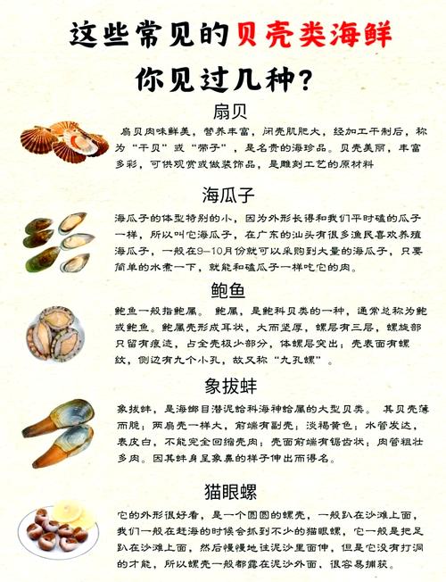 梦见海鲜贝壳的神秘含义，用户揭示潜藏心理洞察！