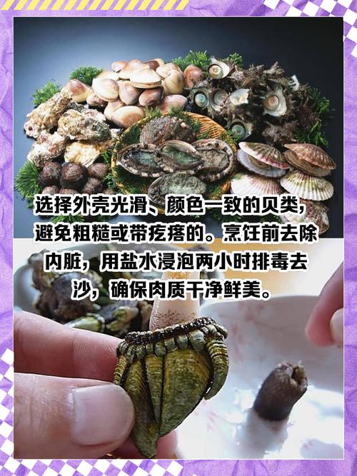 梦见海鲜贝壳的神秘含义，用户揭示潜藏心理洞察！