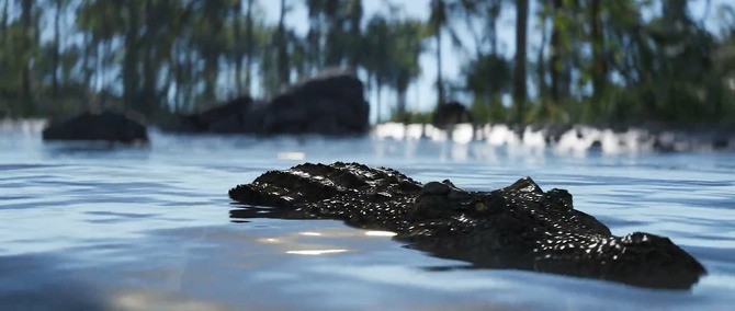 新丛林生态更新即将发布：掌握腐蚀生存技巧，提升游戏体验！