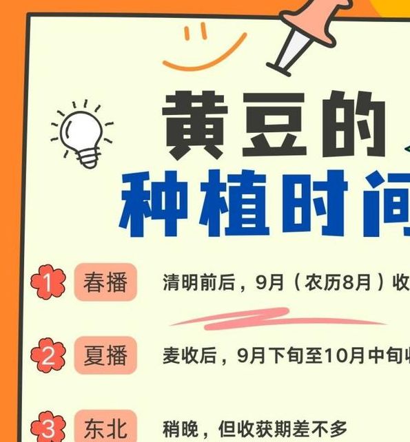 梦见种黄豆的全解读心理暗示与财运启示分析