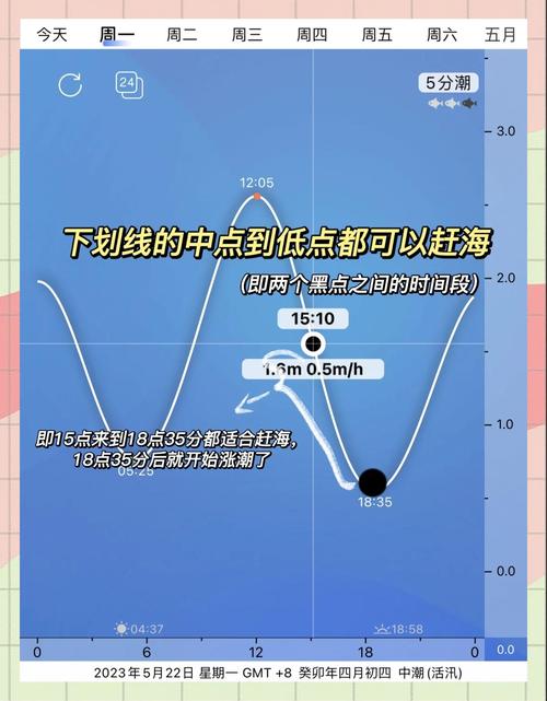 手游攻略：夜晚潮汐现象揭秘——海洋神秘变化解析