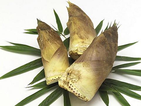 梦见毛笋的深层含义解析,探索潜意识世界引发共鸣,引导积极生活! 梦见毛笋的深层含义解析,探索潜意识世界引发共鸣,引导积极生活!