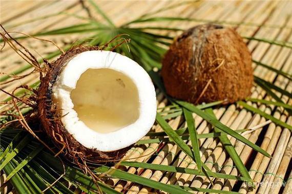 梦见椰子解析5个心理学权威观点与长尾含义解读