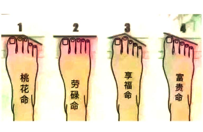 梦见脚趾甲的5大预兆与解读，了解身体暗示