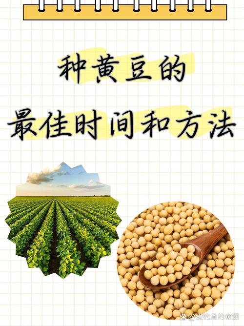 专家解读梦见种黄豆的5个心理暗示及其意义