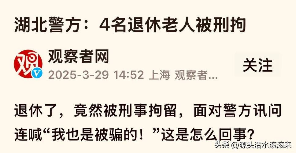 湖北4名退休老人因何获刑拘？揭秘背后不为人知的利益交易！