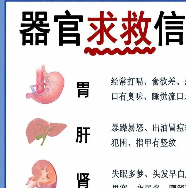 梦见器官变大预示哪些？深度解析象征意义及高效解决方案