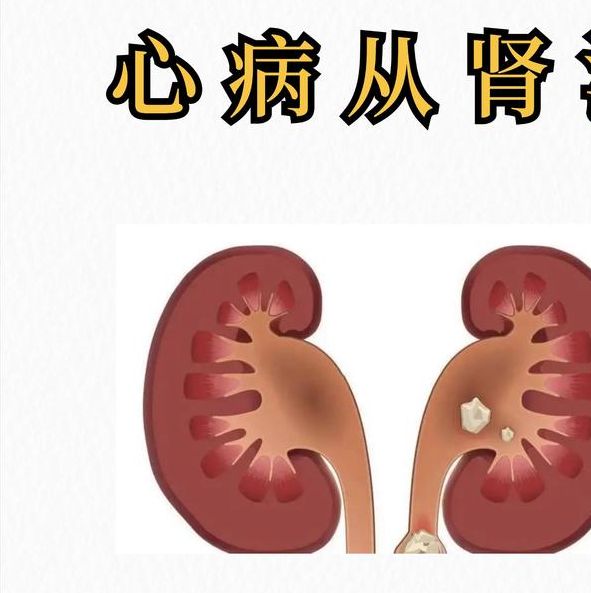 梦见器官变大预示哪些？深度解析象征意义及高效解决方案