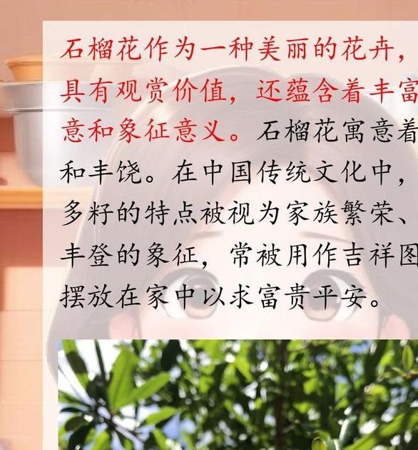 梦见石榴树开花寓意解析开启成功之门的三大要素