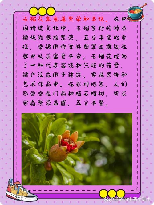 梦见石榴树开花寓意解析开启成功之门的三大要素