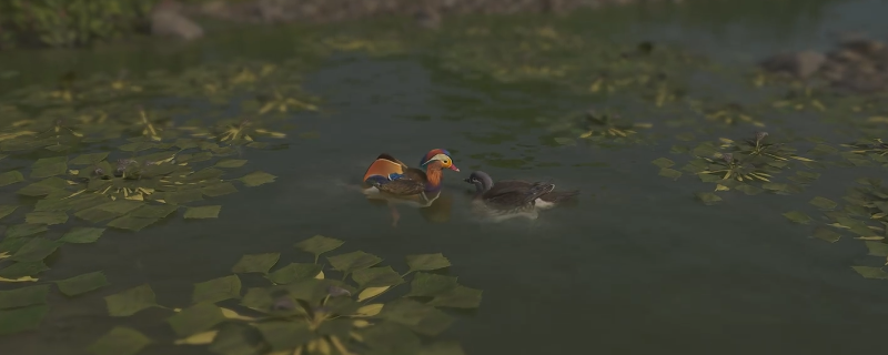 深入探索刺客信条：影鸳鸯戏水墨绘位置，轻松解锁隐藏奖励！