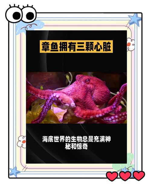 梦见章鱼的深层解读 vs 梦境心理哪个更能揭示内心秘密？