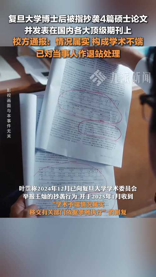 博士后论文涉嫌抄袭日文文献，学校调查如何进行？