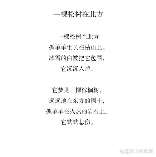 梦见诗歌象征及5个解读启示，提升内心力量