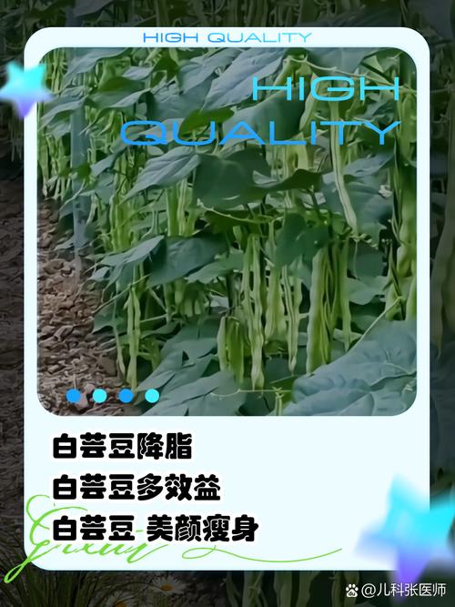 解密梦见芸豆的6大含义，探寻内心深处的潜意识