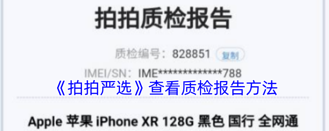 怎样查看拍拍严选质检报告？教你快速掌握高效方法！
