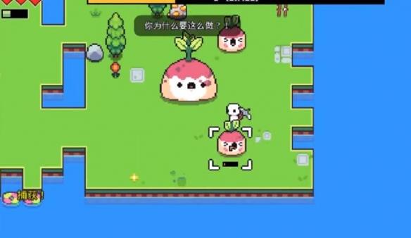 揭秘浮岛冒险甜菜精岛：为何玩家趋之若鹜？