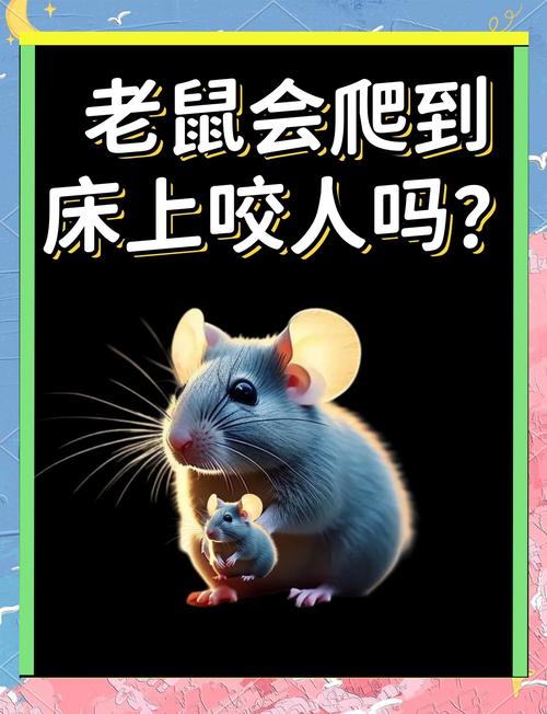 权威解读梦见老鼠夹的心理象征与4大解析 权威解读梦见老鼠夹的心理象征与4大解析