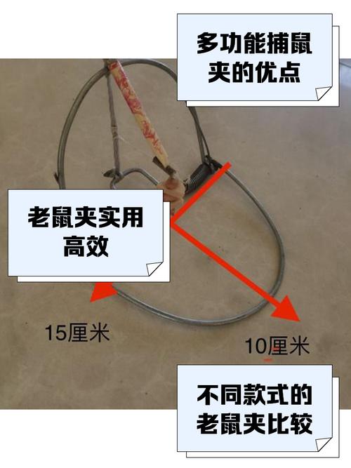 权威解读梦见老鼠夹的心理象征与4大解析 权威解读梦见老鼠夹的心理象征与4大解析