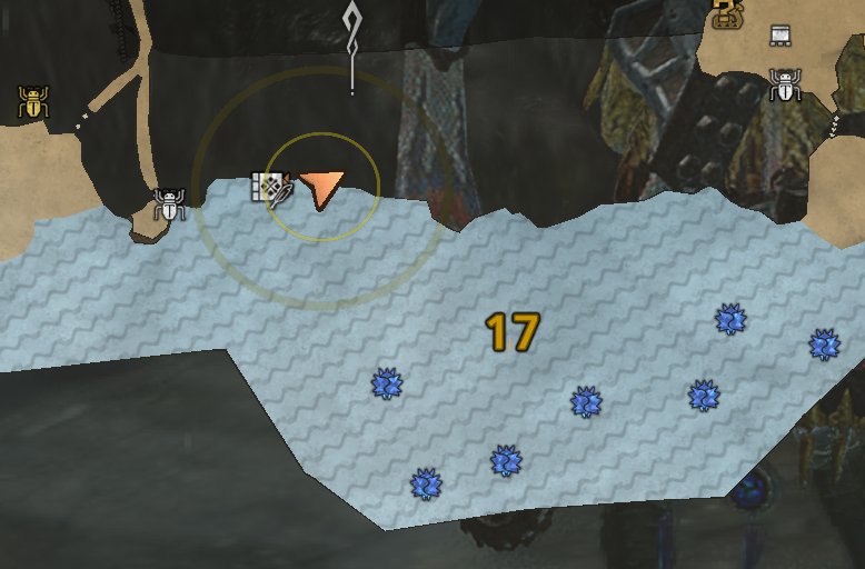 怪物猎人：荒野端丽翼鸟捕获秘诀分享：轻松掌握高效攻略技巧，提升游戏体验