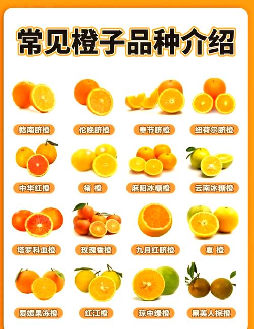 梦见橙子寓意解析揭秘3大心理暗示与真实生活联系